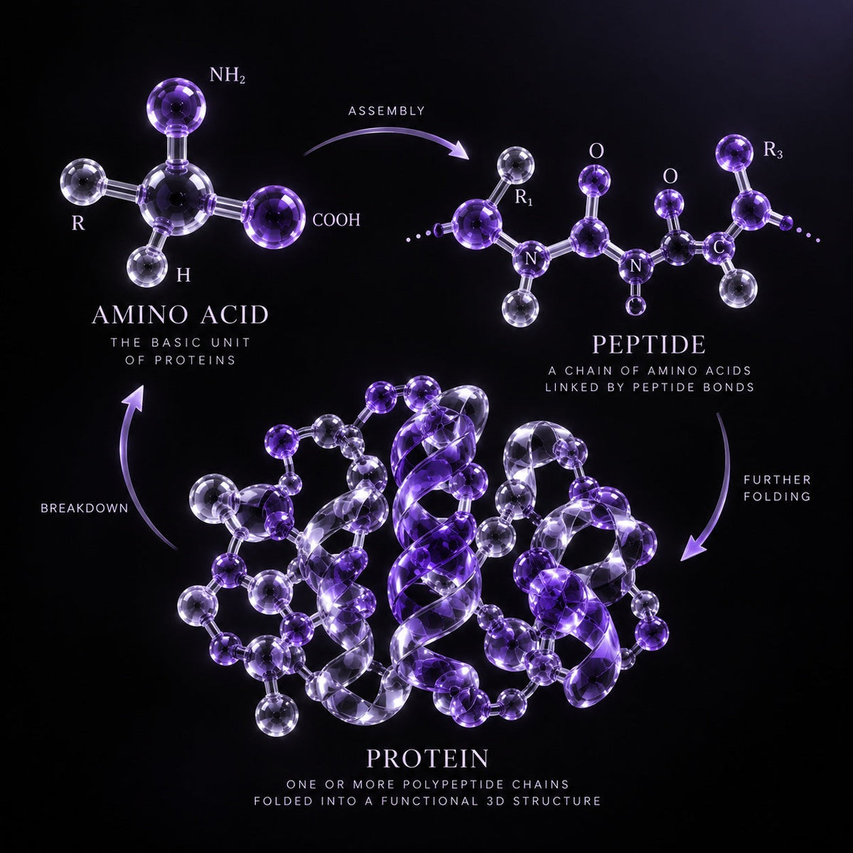 Peptides in Medicine: From Life-Saving Discoveries to Modern Biotechnology